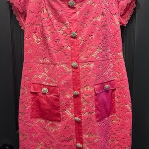 NWT-Women’s Adrianna Papell Elegant Petunia Lace Dress. Size 16